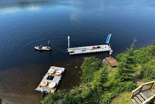 Candock
